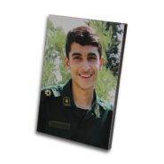 قاب شاسی شهدا (شهید دانشگر)