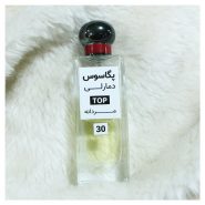 عطر مردانه پارفومز د مارلی_ پگاسوس TOP